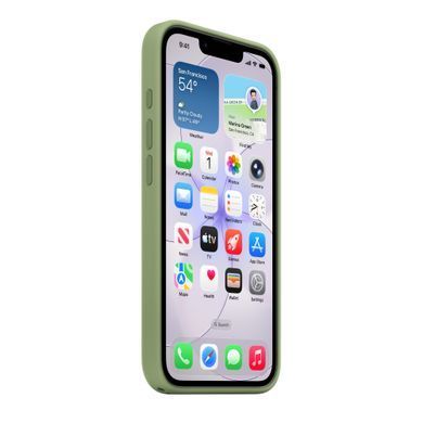 Чохол Apple iPhone&nbsp;17e Silicone Case with MagSafe &ndash; Light Moss (MHWF4)