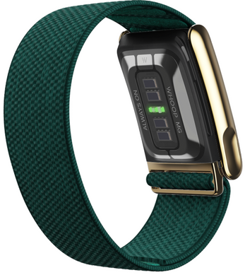 Ремінець Whoop SuperKnit Luxe Band | Emerald with Gold для Whoop 5.0 One/Peak/MG Life