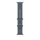 Ремешок Apple 49mm Anchor&nbsp;Blue Ocean&nbsp;Band - Natural Titanium Finish (MGCC4)