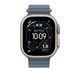 Ремешок Apple 49mm Anchor&nbsp;Blue Ocean&nbsp;Band - Natural Titanium Finish (MGCC4)