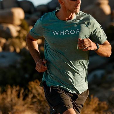 Футболка Whoop Men's Training Tee | Teal Heather
