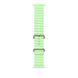 Ремешок Apple 49mm Neon Green&nbsp;Ocean Band - Natural Titanium Finish (MGCF4)