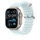 Подовжувач для ремінця Apple Ocean Band Extension - Natural Titanium Finish 49mm - Ice Blue (MXTG3)