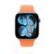 Ремешок Apple 46mm Clementine Sport Band - M/L (MHYL4)