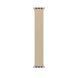 Ремінець Apple Beige Braided Solo Loop 41mm | 45mm