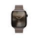 Ремінець Apple 42mm Dark&nbsp;Taupe Modern&nbsp;Buckle - Small (MXW33)