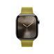 Ремешок Apple 42mm Chartreuse Modern&nbsp;Buckle - Small (MXW63)