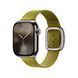 Ремешок Apple 42mm Chartreuse Modern&nbsp;Buckle - Small (MXW63)