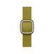 Ремешок Apple 42mm Chartreuse Modern&nbsp;Buckle - Small (MXW63)