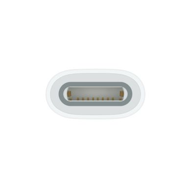 Перехідник Apple USB-C to Apple Pencil Adapter (MQLU3)