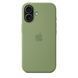 Чохол Apple iPhone 17 Silicone Case with MagSafe &ndash; Light Moss (MGEX4)