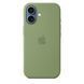 Чохол Apple iPhone 17 Silicone Case with MagSafe &ndash; Light Moss (MGEX4)