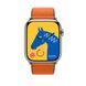 Ремешок Apple Watch Herm&egrave;s - 45mm Orange/Kaki Twill Jump Single Tour (MTHK3)