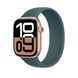 Ремешок Apple Lake Green Solo Loop 46mm (MY8U3)