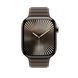 Ремешок Apple 46mm&nbsp;Dark Taupe Magnetic&nbsp;Link - S/M (MXWW3)
