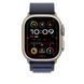 Ремешок Apple 49mm Navy Alpine&nbsp;Loop -&nbsp;Small - Natural Titanium Finish (MXMX3)
