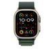 Ремешок Apple 49mm Dark Green Alpine&nbsp;Loop -&nbsp;Small - Natural Titanium Finish (MXMU3)