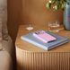 Чехол Beats iPhone 17 Pro Max Case with MagSafe and Camera Control &ndash; Pebble Pink (MGJF4)