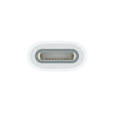 Переходник Apple USB-C to Apple Pencil Adapter (MWML3) (no-box)