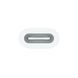 Переходник Apple USB-C to Apple Pencil Adapter (MWML3) (no-box)