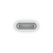 Переходник Apple USB-C to Apple Pencil Adapter (MWML3) (no-box)