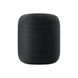 Колонка Apple HomePod - Space Gray (MQHW2), Серый