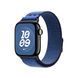 Ремешок Apple 42mm Blue Ribbon Nike Sport Loop (MGD14)