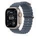 Удлинитель для ремешка Apple 49mm Anchor&nbsp;Blue Ocean&nbsp;Band Extension - Natural Titanium Finish (MGCE4)