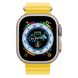 Ремінець Apple Ocean Band для Watch 49mm - Yellow (MQEC3)