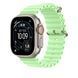 Подовжувач для ремінця Apple 49mm Neon Green Ocean&nbsp;Band Extension - Natural Titanium Finish (MGCG4)