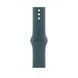 Ремінець Apple 46mm Lake&nbsp;Green&nbsp;Sport&nbsp;Band - M/L (MXLQ3)